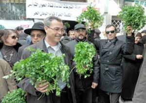 Tunisian Television channel Alhiwar rescued by parsely